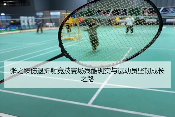 张之臻伤退折射竞技赛场残酷现实与运动员坚韧成长之路